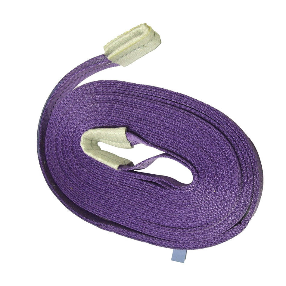 Two-Ply Polyester Webbing Sling (purple) 9m x 1t