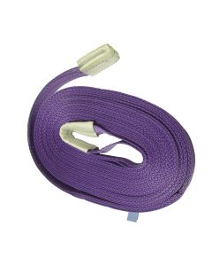 Two-Ply Polyester Webbing Sling (Purple) 9m x 1t